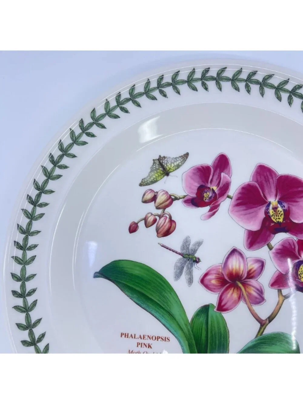 vintage portmeirion botanic garden phalaenopsis pink orchid plate 10.5